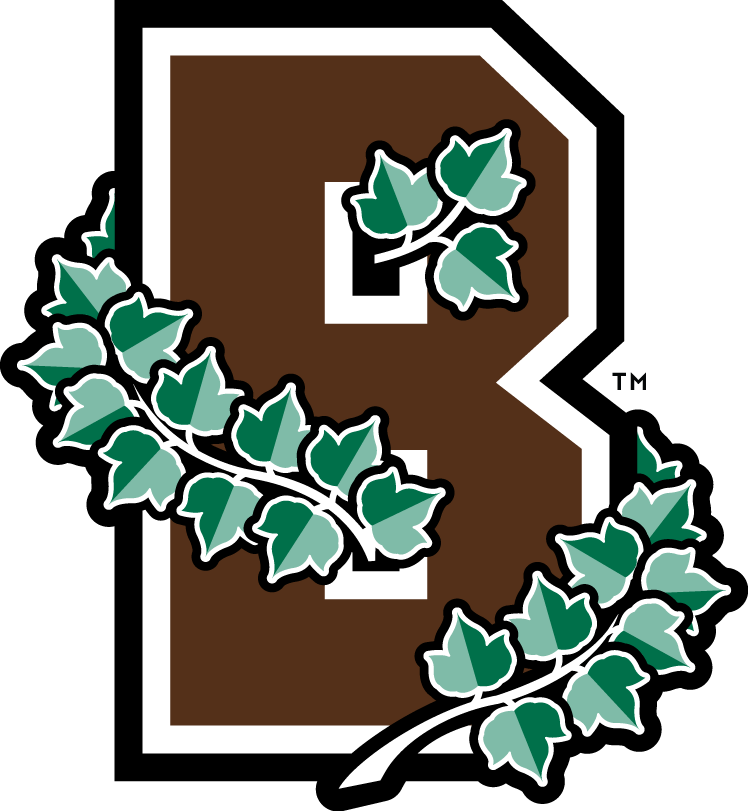 Brown Bears 2003-Pres Alternate Logo iron on transfers for T-shirts